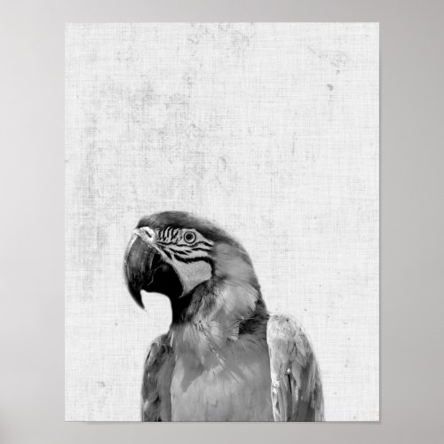 Black and White Peekaboo Parrot Minimalist Nursery Poster