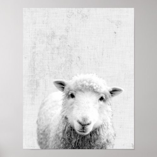 Black and White Peekaboo Sheep Minimalist Nursery Poster