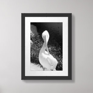 Black And White Pelican Photograph Framed Art