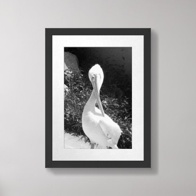 Black And White Pelican Photograph Framed Art (Framed Front)