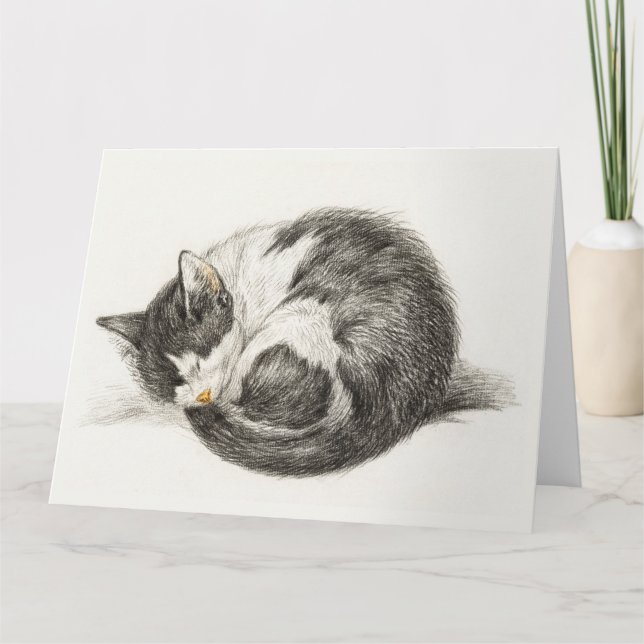 Black and white pencil drawing of a sleeping cat card (Front)