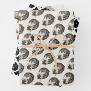 Black and white pencil drawing of a sleeping cat wrapping paper sheets