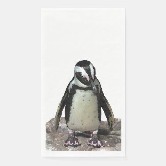 Black and White Penguin Bird Paper Guest Towel