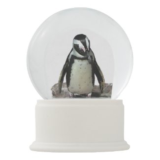 Black and White Penguin Bird Snow Globe