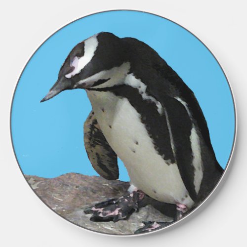Black and White Penguin Bird Wireless Charger