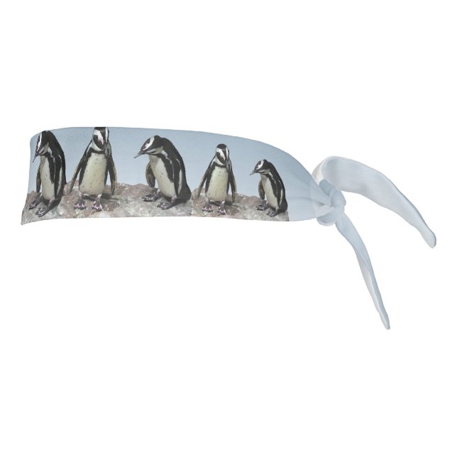Black and White Penguin Birds Blue Tie Headband (Rotate 90)
