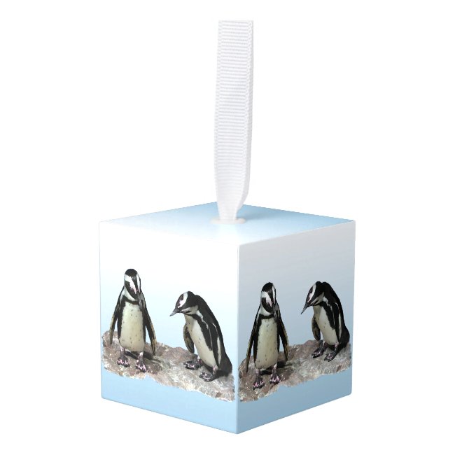 Black and White Penguin Birds Cube Ornament
