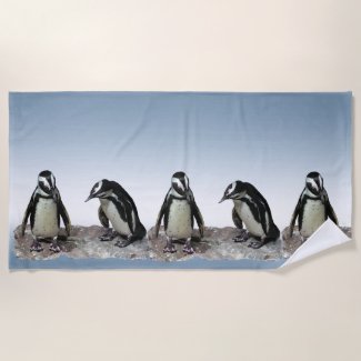 Black and White Penguin Birds on Blue Beach Towel