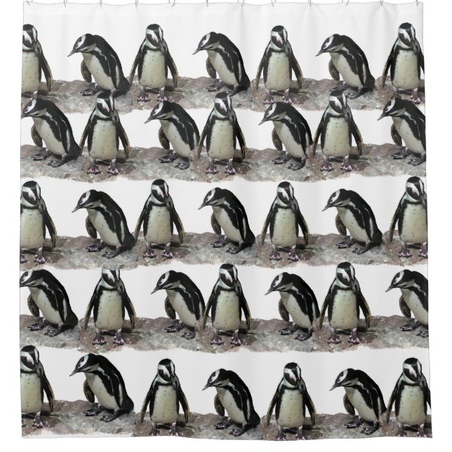 Black and White Penguin Birds Shower Curtain (Front)