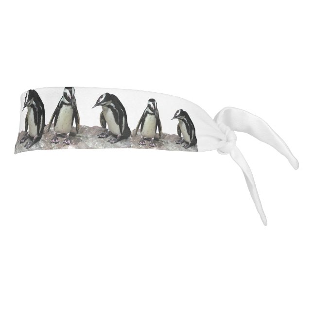 Black and White Penguin Birds Tie Headband (Rotate 90)