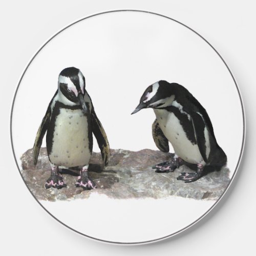 Black and White Penguin Birds Wireless Charger