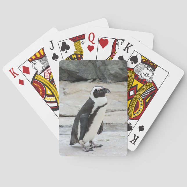 Black and White Penguin on the Rocks Poker Cards (Back)