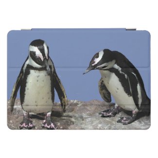 Black and White Penguins 10.5 iPad Pro Case