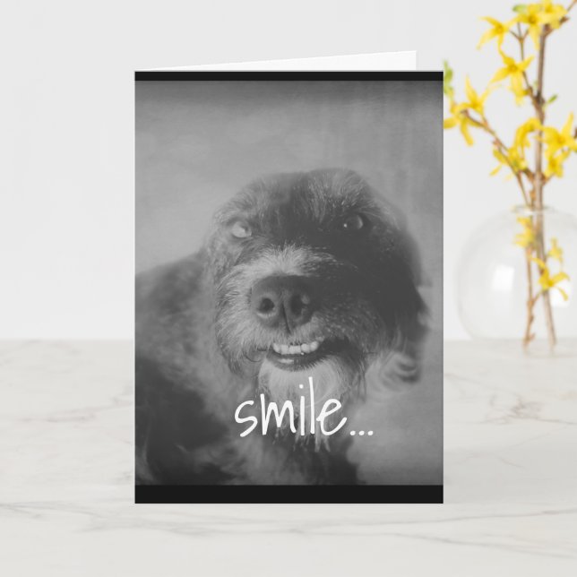 black and white photo funny dog humorous birthday card (Yellow Flower)