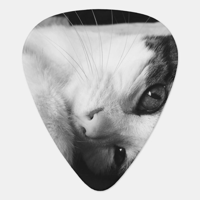 Black and White Photo Guitar Pick (Front)