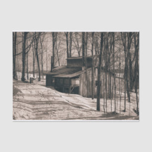 Black and White Photo Maple Cabin Tissue Paper