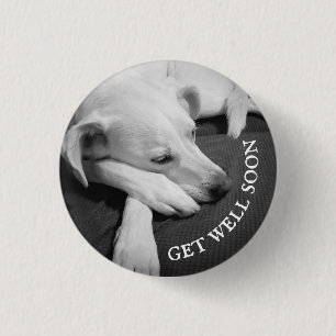 Black and White Photo of a Beautiful Dog Sleeping Button