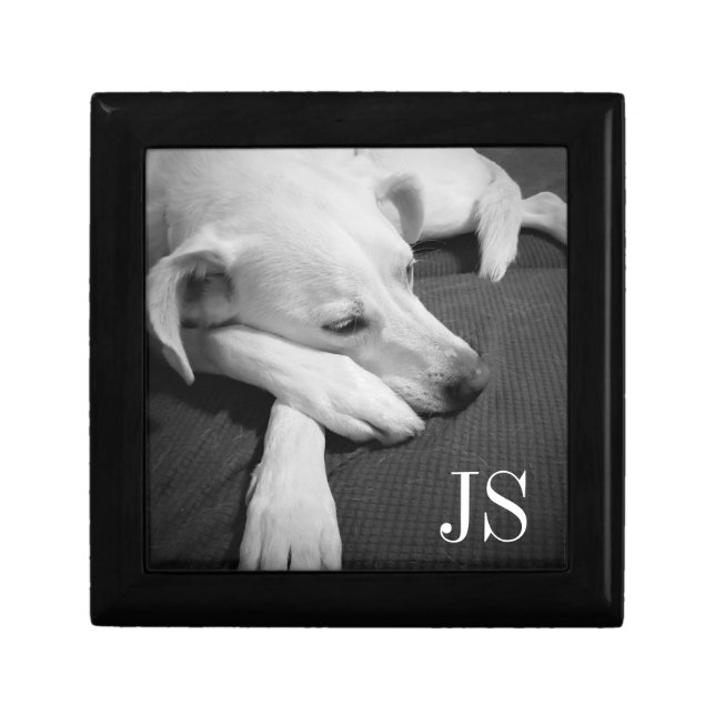 Black and White Photo of a Beautiful Dog Sleeping Gift Box (Front)