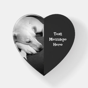 Black and White Photo of a Beautiful Dog Sleeping Paperweight