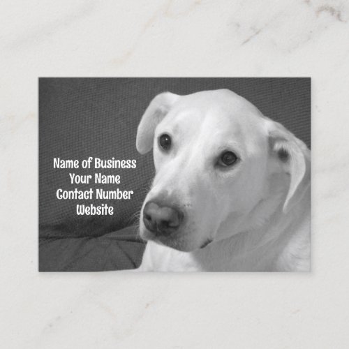 Black and White Photo of a Beautiful Soulful Dog Business Card