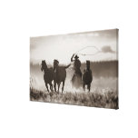 Black and White photo of a Cowboy Lassoing Horses Poster | Zazzle.com