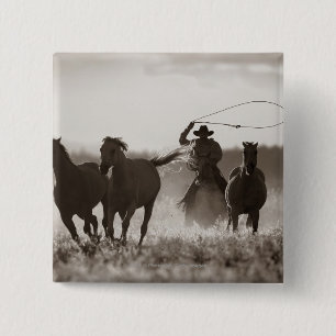Black and White photo of a Cowboy Lassoing Horses Pinback Button