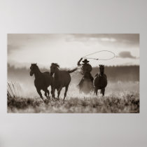 Black and White photo of a Cowboy Lassoing Horses Poster