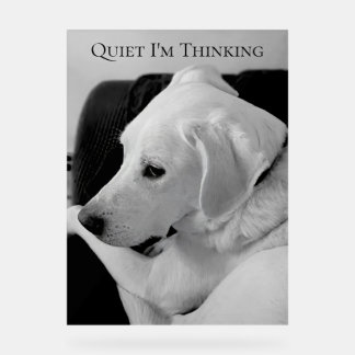 Black and White Photo of Dog Deep in Thought Acrylic Sign