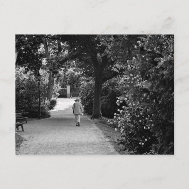 Black and white photo of old man at park postcard (Front)