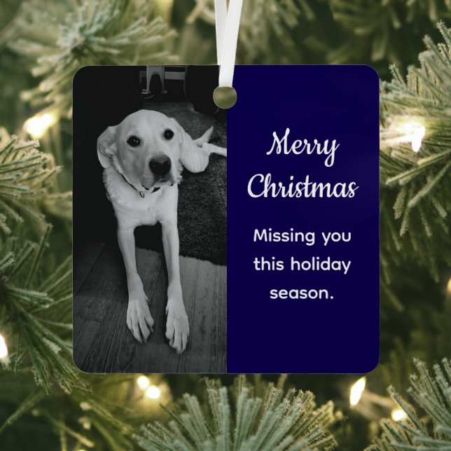 Black and White Photo of Sad Dog Missing You Blue Metal Ornament (Insitu)