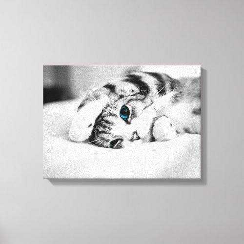 Black and white photograph of a cat canvas print