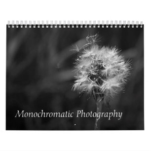Black and White Photographs Animals Landscape Bird Calendar