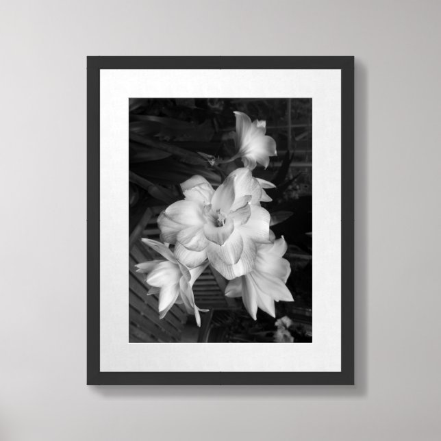 Black And White Photography Flowers Framed Art (Framed Front)