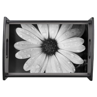 Black and White Photography of African Daisy Serving Platters