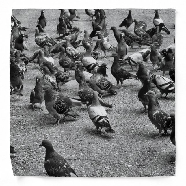Black and white photography of many pigeons bandana (Front)