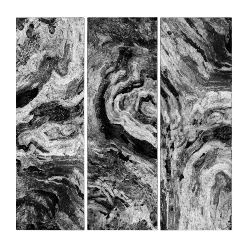 Black and White Photography of Wood Grain Swirl Triptych