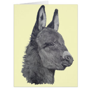 black and white picture of cute donkey cards