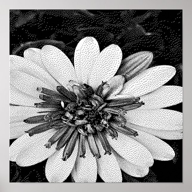 black and white pixel art  poster (Front)