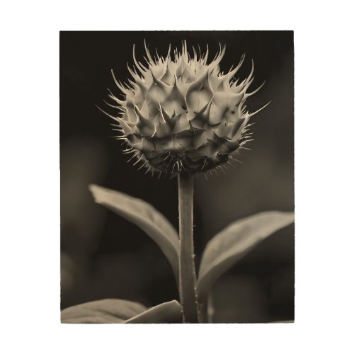 Black and white plant  wood wall art