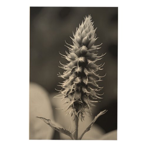 Black and white plant wood wall art