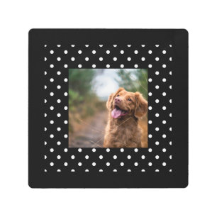 Black and white polka dot Dog pic Metal Print