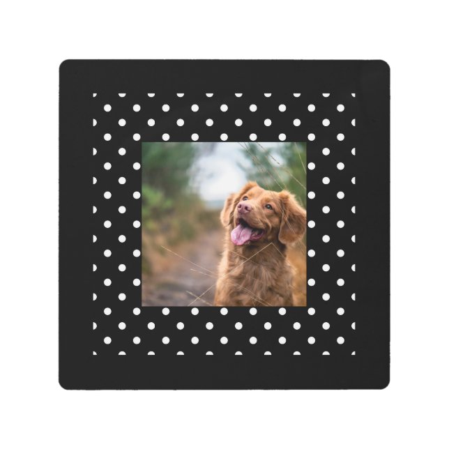 Black and white polka dot Dog pic Metal Print (Front)