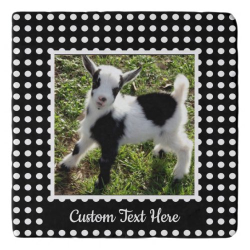 Black and White Polka Dot Nigerian Dwarf Goat Kid Trivet