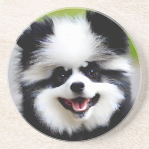 Black and White Pomeranian Coaster