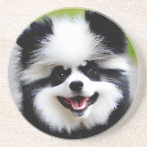 Black and White Pomeranian Coaster