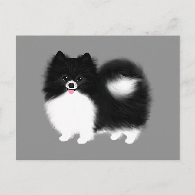 Black and White Pomeranian Postcard (Front)