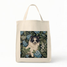 Black and White Pomeranian with Hydrangeas