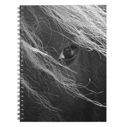Black and White Pony Hair Photography Notebook