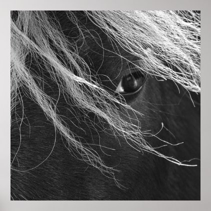 Black and White Pony Hair Poster