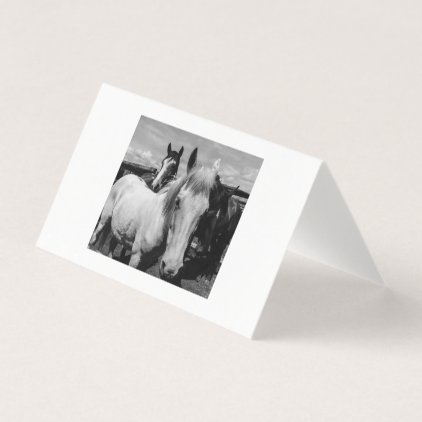 Black and White Pony Sale Card